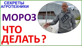 Заморозки. Жестокие и беспощадные. Пути спасения и что делать если защита не помогла.