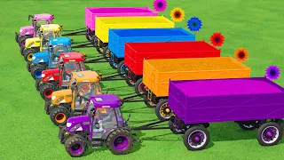 KING OF TRACTORS! MULTICOLOR SUNFLOWER PLANT AND HARVEST WITH SMALL RIGITRAC TRACTORS! FS22