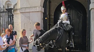 HE BITES! Horse is SICK of stupid tourists - Guard even tells them!