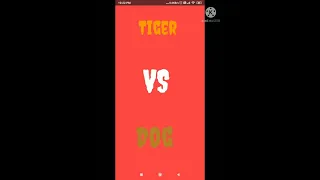 Tiger vs Dog|The fight that ended before it started|#sufferwithme