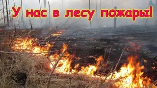 У нас были пожары возле села! (04.19г.) Семья Бровченко.