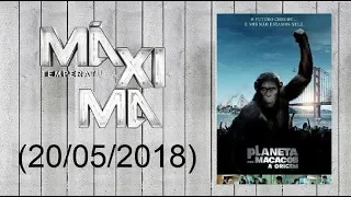 Temperatura Máxima • Planeta dos Macacos: A Origem (2011) (20/05/2018)