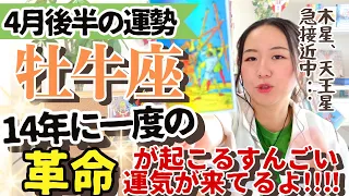 必見すぎる【牡牛座4月後半の運勢】14年に一度！あなたの人生を大きく変える革命が起こるぞ！