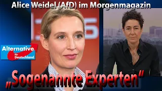 Wie Alice Weidel (AfD) im Morgenmagazin mit unverschämten Fragen umgeht