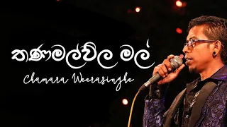 Thanamalwila Mal Pipunath - Chamara Weerasinghe | Best Of Chamara Weerasinghe