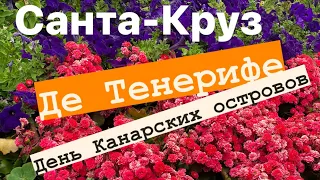 День Канарских островов. Прогулка по Санта - Круз - де - Тенерифе. Отпуск