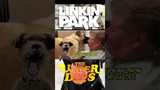 #linkinpark #dogs #parody #puppets