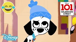 101 Dalmatian Street | SNEAK PEEK: Snow Day ❄️ | Disney Channel UK