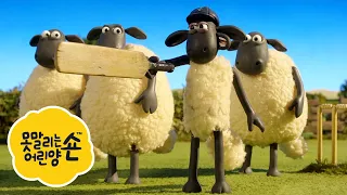 희귀 새 촬영팀 - 시리즈 4 - 숀 더쉽 [Shaun the Sheep] [포함 시즌 6 의 클립]