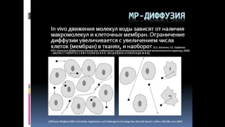 Доклад: «МР-диффузия в уточнённой диагностике рака мочевого пузыря».