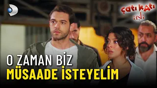 Şirin ve Ateş Mafyanın Elinde! - Çatı Katı Aşk 15. Bölüm