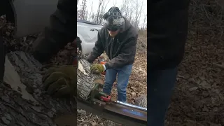 Homemade Hydraulic Splitter vs Green Hickory