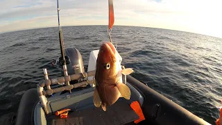 НА БАРЕНЦЕВОМ МОРЕ В ИЮЛЕ / ON THE BARENTS SEA IN JULY