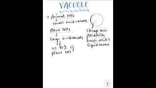 Class-IX- Biology- The Fundamental Unit Of Life- Vacuole