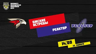 25.11.2020. «Омские Ястребы» – «Реактор» | (Париматч МХЛ 20/21) – Прямая трансляция