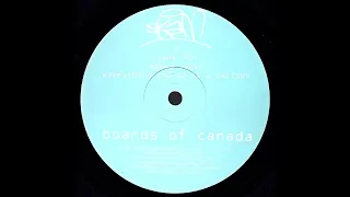 Boards of Canada - Everything You Do Is A Balloon (Vinyl Rip)