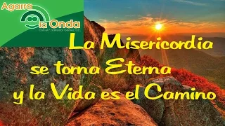 27 Noviembre 2016-Domingo 1º de Adviento-CICLO A-Mt 24, 37-44-Siembra eternidad y cosecha eternidad