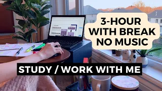 Study With Me | 3-hour With Breaks No Music | Two 30-minute and Two 50-minute focused blocks