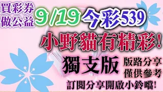 9/19 今彩539 小野貓有"精彩"539 獨支版路分享 ❤可怕的地震★希望平安無事