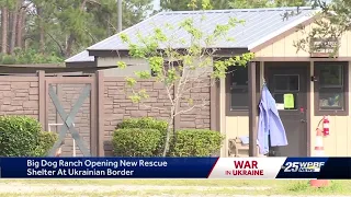 Local animal shelter opens new facility in Poland to help with Ukrainian dogs