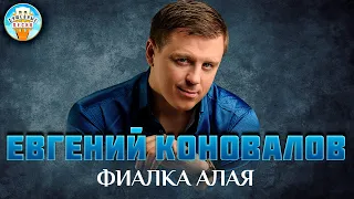 ФИАЛКА АЛАЯ ✮ ДУШЕВНАЯ ПЕСНЯ ✮ ЕВГЕНИЙ КОНОВАЛОВ ✮  EVGENY KONOVALOV ✮ BEST SONGS