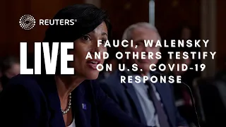 LIVE: Fauci, Walensky and others testify on U.S. COVID-19 response