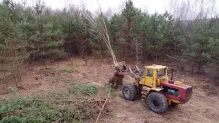 Т-150 Корчування дерев.