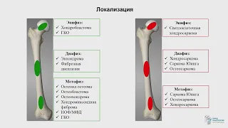 Диагностика опухолей костей  современный взгляд морфолога. Рогожин Д.В.