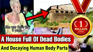 THE IBADAN FOREST OF HORROR DOCUMENTARY - A Money Ritual Industry That Ran Underground For 10 Years.