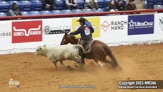 Cats King Badger shown by John Swales -  2023 WGH Fence work prelims