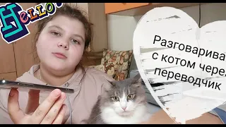 Разговариваю с котом через переводчик