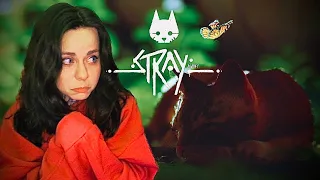 РАДОСТЬ И СТЕКЛО  -  Stray