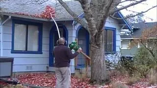 Blowing leaves off roof without getting on the roof.