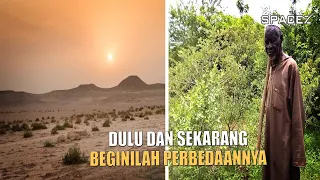 Menakjubkan! Pria Asal Afrika ini Berhasil Mengubah Gurun Menjadi Hijau