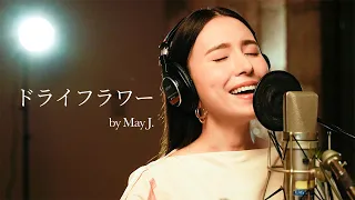 ドライフラワー / 優里 covered by May J.