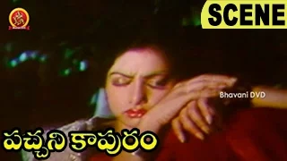 Krishna Saves Sridevi From Goons - Intro Scene | Pachani Kapuram Telugu Movie Scenes