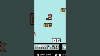 Invincible Mario glitch | Super Mario bros 3