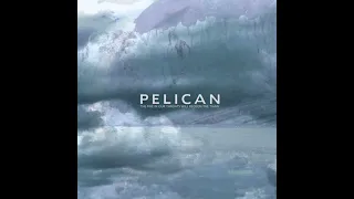 Pelican - -