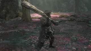 speak softly and carry a big stick in Dark Souls 3