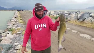 Utah Lake Catfishing!