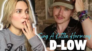 Reaction to D-Low’s “Sing A Little Harmony” | Beatbox | 🔥