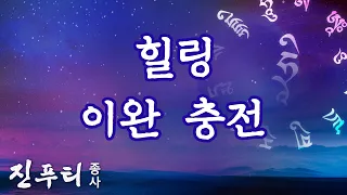 힐링 이완 충전 ㅣ 연화생대사심주 염송버전(120분) ㅣ 진푸티 종사 힐링 시리즈 #힐링음악 #치유음악 #선수행음악 #진푸티종사염송