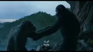 Dawn of the Planet of the Apes - Apes together strong