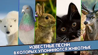 ИЗВЕСТНЫЕ ПЕСНИ В КОТОРЫХ УПОМИНАЮТСЯ ЖИВОТНЫЕ / Песни с животными в названии или тексте