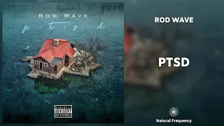 Rod Wave - PTSD (432Hz)