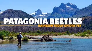Patagonia Beetles - Dry Fly Fishing BIG Beetle Patterns for Rainbow Trout in Patagonia.
