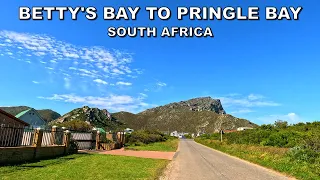 DRIVING from BETTY'S BAY to PRINGLE BAY in SOUTH AFRICA 4K (60fps)