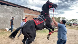 La Carrera Del Dinero Y Orgullo | El Sombras Vs El Valente Quintero