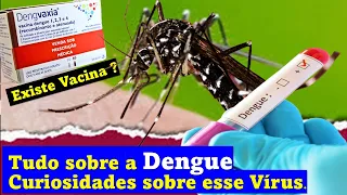 Tudo sobre a Dengue, um dos vírus mais temidos