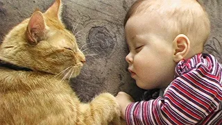 Shelter Cat Snuck Into Baby's Bed At Night, And What He Did Shocked Everyone